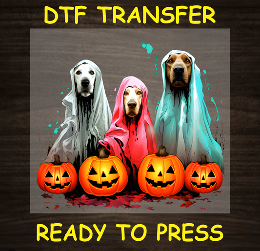 Three dogs dressed as ghosts with jack-o'-lanterns, Halloween DTF transfer.