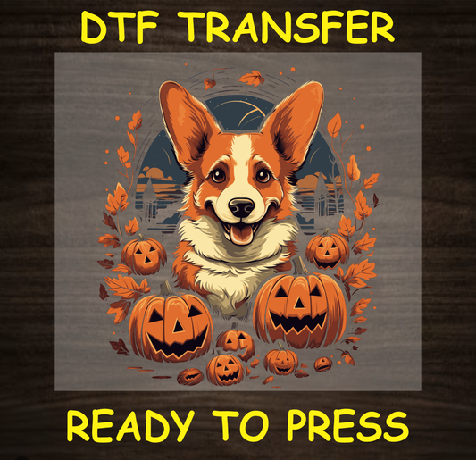 Corgi with jack-o'-lanterns, Halloween-themed DTF transfer.