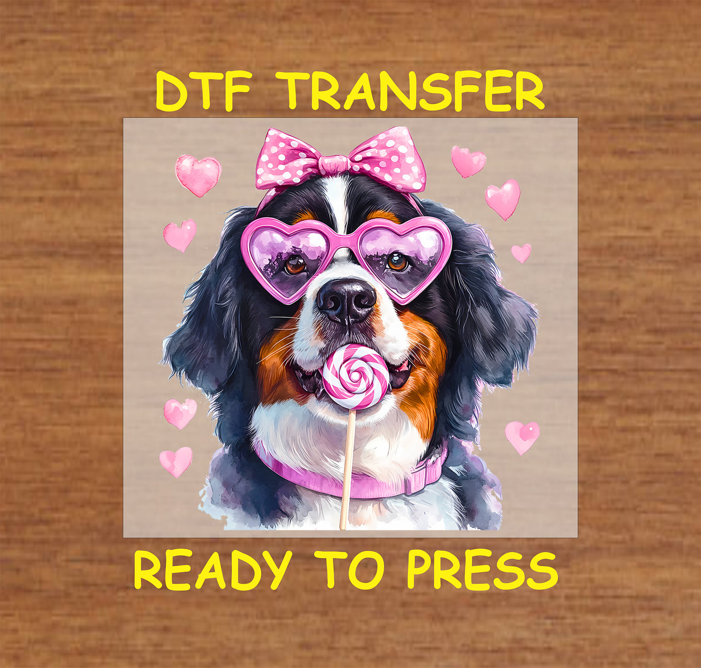 DTF transfer featuring a Bernese Mountain Dog with pink heart-shaped glasses, a polka dot bow, and a lollipop surrounded by heart accents.