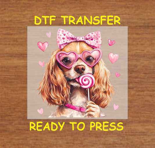 DTF transfer featuring a Cocker Spaniel with pink heart-shaped glasses, a heart-patterned bow, and a lollipop, surrounded by pink hearts.