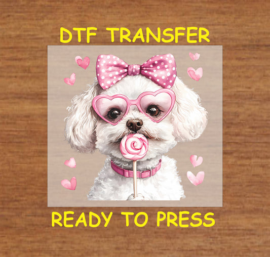 DTF transfer featuring a fluffy white Bichon Frise wearing pink heart-shaped glasses, a polka-dot bow, and holding a lollipop, surrounded by pink hearts.