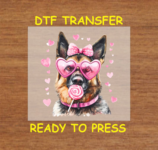 DTF transfer featuring a German Shepherd wearing pink heart-shaped glasses, a polka-dot bow, and holding a lollipop surrounded by pink hearts for Valentine's Day.