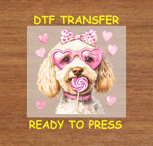 DTF transfer of a fluffy white doodle wearing pink heart-shaped glasses, a heart-patterned bow, and holding a lollipop surrounded by pink hearts for Valentine's Day.