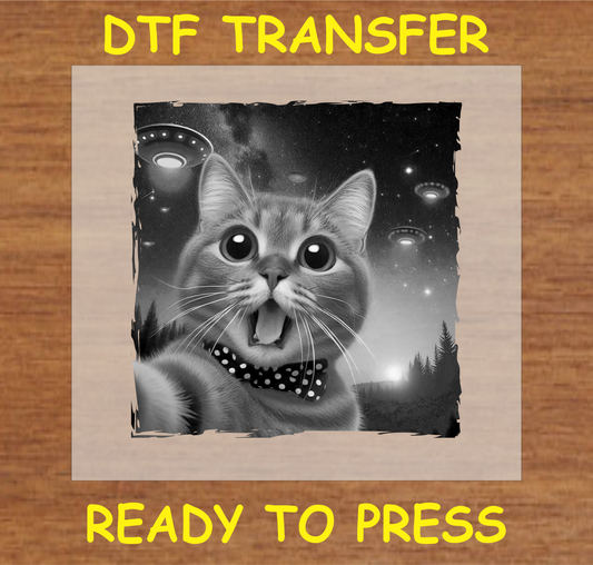 Cat with UFOs in the sky DTF transfer ready to press