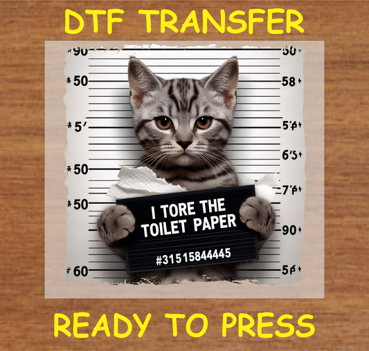 Cat mugshot holding a sign that says 'I Tore the Toilet Paper' DTF transfer ready to press