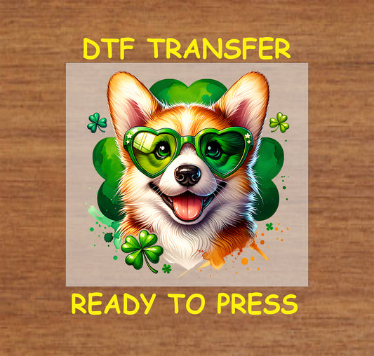 Corgi wearing shamrock-shaped green sunglasses with a St. Patrick’s Day theme.