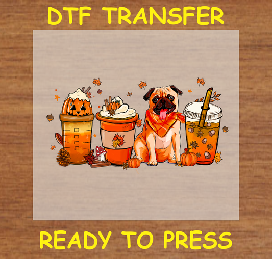 Adorable pug with fall bandana surrounded by autumn-themed drinks and pumpkins DTF transfer.