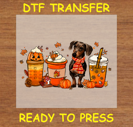 Dachshund dog in a scarf with fall-themed drinks, pumpkins, and autumn leaves DTF transfer.