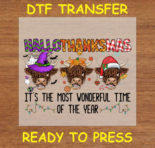 Highland cows with Halloween, Thanksgiving, and Christmas-themed costumes and "HalloThanksMas" text DTF transfer.