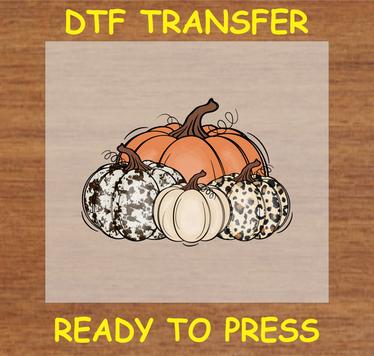 Pumpkin Patch DTF transfer featuring a group of stylish pumpkins with leopard and rustic designs, ready to press.