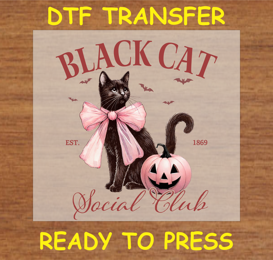 "Black Cat Social Club DTF Transfer featuring a vintage-style black cat and Halloween pumpkin"