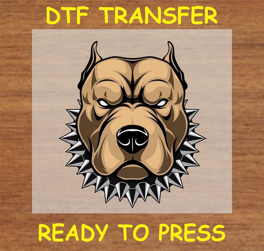 Pitbull DTF transfer featuring a fierce pitbull head with a spiked collar, ready to press

