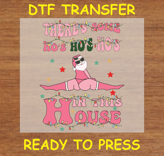 There's Some Ho Ho Ho's In The House Funny Christmas Dtf Transfer - Ready To Press C154